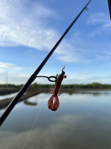 DEPS MS CRAW