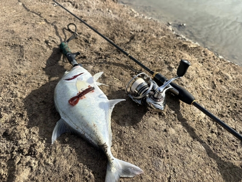 DEPS MS CRAW