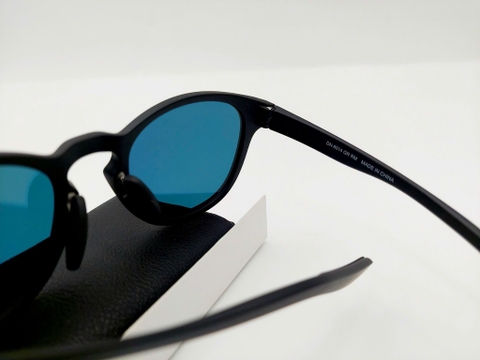 DAIWA POLARIZED SUNGLASS DN-8014 #GRAY RM