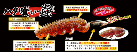 RUDIE'S TAKUI MUSHI