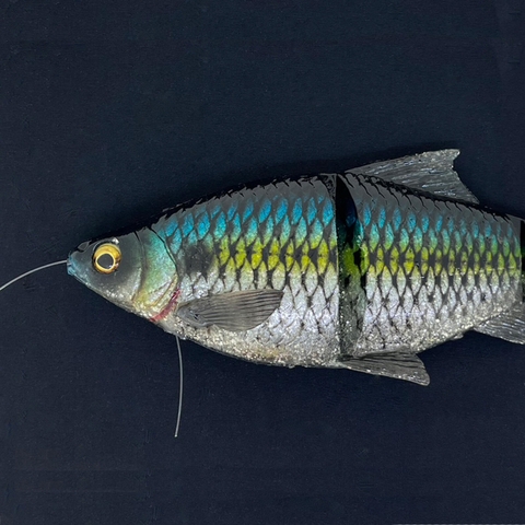 SAVAGE GEAR 3D LINE THRU GIZZARD