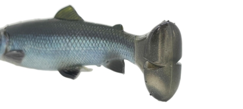 SAVAGE GEAR 4D LINE THRU PULSE TAIL TROUT SS