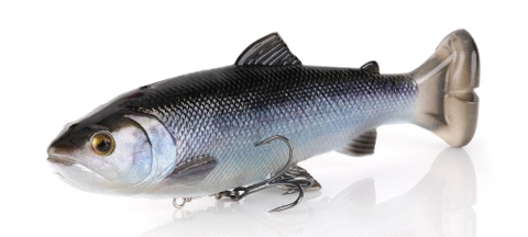SAVAGE GEAR 4D LINE THRU PULSE TAIL TROUT SS