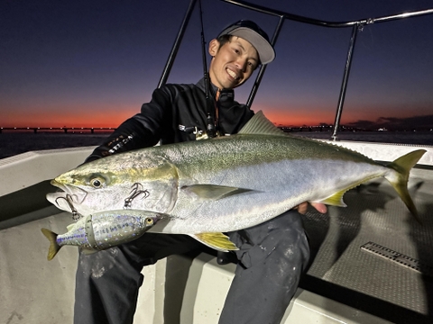 SAVAGE GEAR 3D MAGNUM SHINE GLIDE