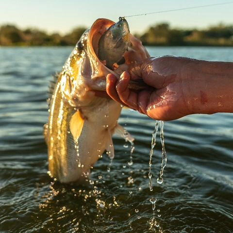 SAVAGE GEAR 3D PULSE TAIL BLUEGILL