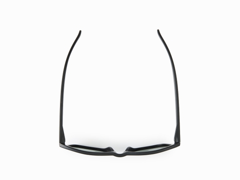 DAIWA DN-8016 TRIACETATE POLARIZED GLASSES