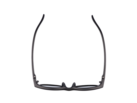DAIWA INTERCHANGEABLE LENS TRIACETATE POLARIZED SUNGLASSES DN-8044CH