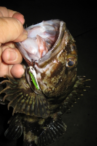 DECOY TREBLE HOOKS Y-S25