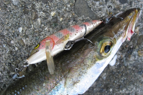 DECOY TREBLE HOOKS Y-S25