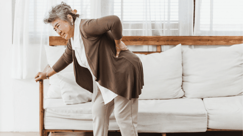 Bệnh Loãng Xương Nên Ăn Gì ? 5 Loại Thực Phẩm Vàng Cho Bệnh Xương Khớp.