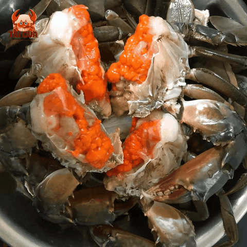 CUA GẠCH G3 (200g-300g/con)-GẠCH SON ĐỎ GIÀU DINH DƯỠNG