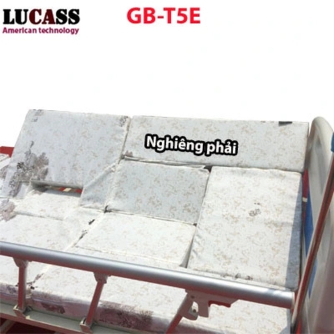 Giường Điện Đa Chức Năng Lucass GB-T5E