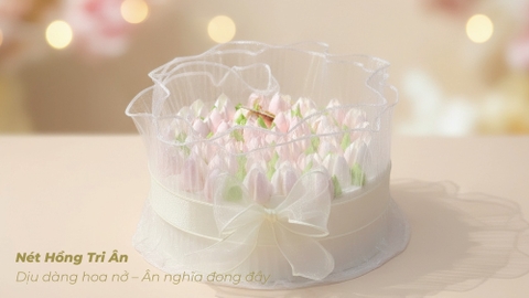 Nét Hồng Tri Ân