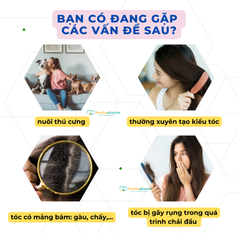 Lược chải chấy răng dày giúp loại bỏ trứng chấy hiệu quả, cảm giác cầm nắm dễ dàng