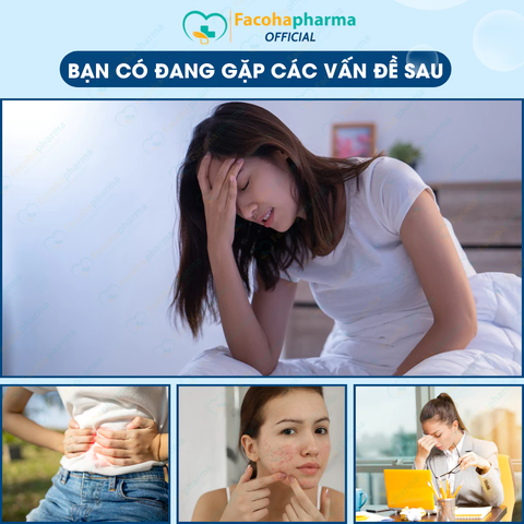 Miếng dán thảo độc chân nội địa Trung chính hãng (hộp 10-50 miếng)