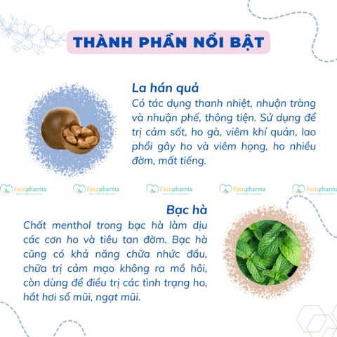 Kẹo ngậm ho bạc hà Korea cao lá thường xuân chanh đào mật ong the mát giảm đau họng hộp 24 viên