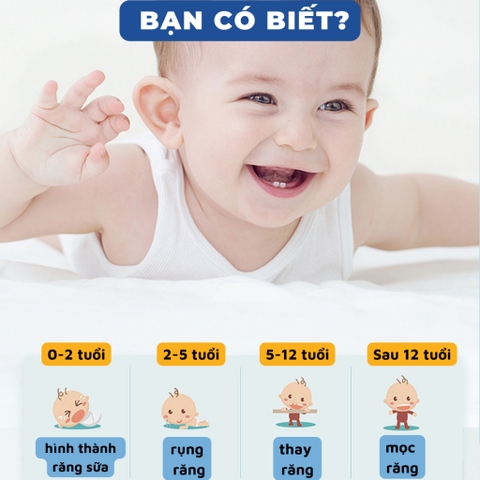 Bàn chải silicon chữ U cho bé từ 6 đến 12 tuổi an toàn, không gây đau lợi - Hồng