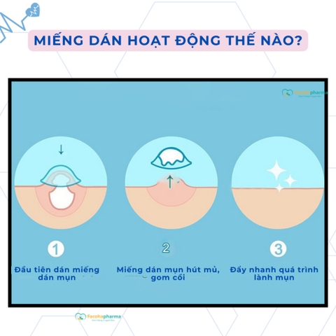 Miếng dán mụn gom cồi trong suốt bảo vệ mụn, che khuyết điểm gói 24 miếng