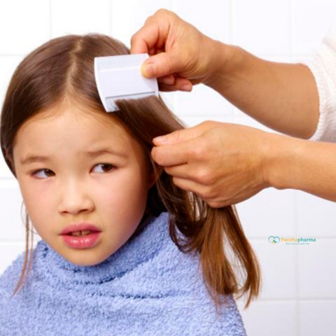 Lược chải chấy răng dày giúp loại bỏ trứng chấy hiệu quả, cảm giác cầm nắm dễ dàng