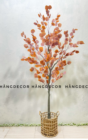 CÂY BẠCH ĐÀN LÁ VÀNG GIẢ HẰNG DECOR(85CM-1M3-1M6)