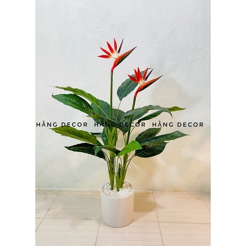 CÂY HOA THIÊN ĐIỂU 1M HẰNG DECOR