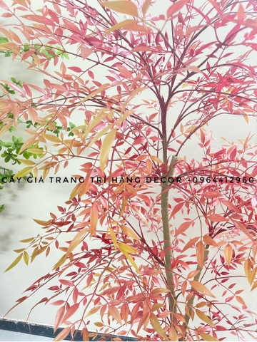 CÂY NAM THIÊN TRÚC GIẢ HẰNG DECOR 1m6