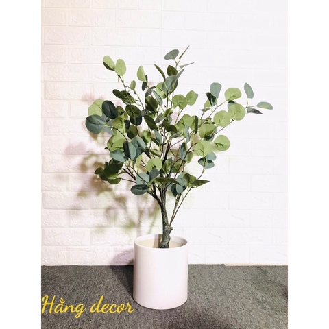 CÂY BẠCH ĐÀN GIẢ TRANG TRÍ NỘI THẤT HẰNG DECOR(85CM)