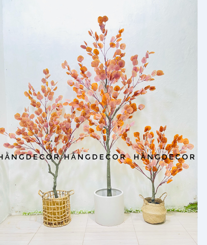 CÂY BẠCH ĐÀN LÁ VÀNG GIẢ HẰNG DECOR(85CM-1M3-1M6)