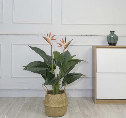 CÂY HOA THIÊN ĐIỂU 1M HẰNG DECOR
