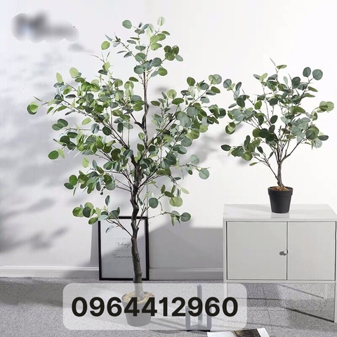 CÂY BẠCH ĐÀN GIẢ TRANG TRÍ NỘI THẤT HẰNG DECOR( 165CM)