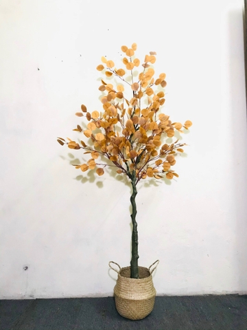 CÂY BẠCH ĐÀN LÁ VÀNG GIẢ HẰNG DECOR(85CM-1M3-1M6)