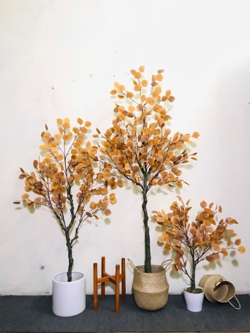 CÂY BẠCH ĐÀN LÁ VÀNG GIẢ HẰNG DECOR(85CM-1M3-1M6)