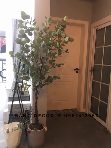 CÂY BẠCH ĐÀN GIẢ TRANG TRÍ NỘI THẤT HẰNG DECOR( 165CM)