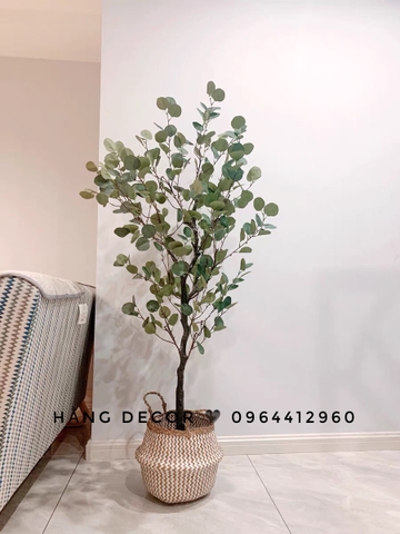 CÂY BẠCH ĐÀN GIẢ TRANG TRÍ NỘI THẤT HẰNG DECOR( 165CM)