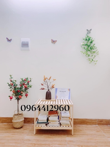 CÂY LỰU GIẢ TRANG TRÍ HẰNG DECOR