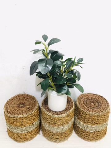 CHẬU CÂY LÁ CHANH ĐẶT BÀN ( 30CM,50CM )
