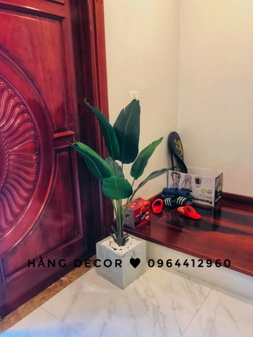 CÂY CHUỐI RẺ QUẠT TRANG TRÍ HẰNG DECOR 1M2(3 nhánh-12 lá)