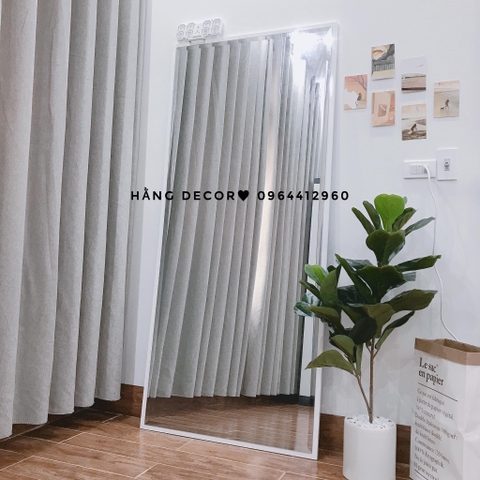CÂY BÀNG SINGAPORE 2 NHÁNH (80CM VÀ 1M )