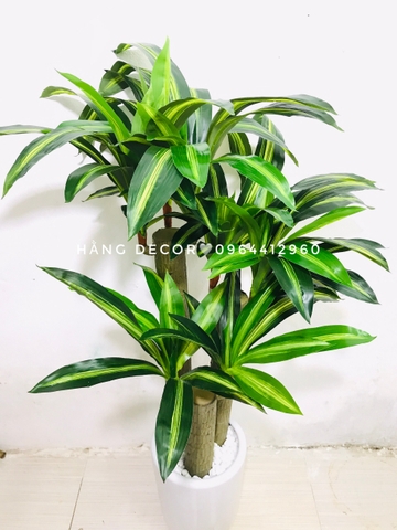 CÂY THIẾT MỘC LAN GIẢ HẰNG DECOR (1M2)
