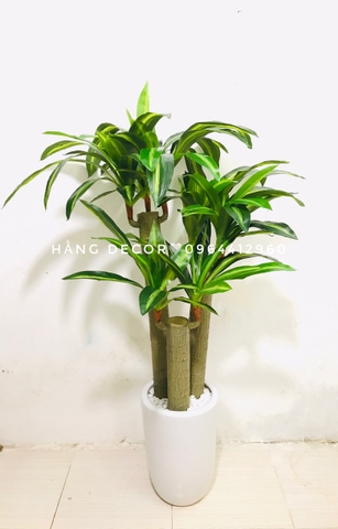 CÂY THIẾT MỘC LAN GIẢ HẰNG DECOR (1M2)