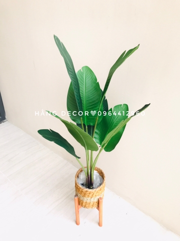 CÂY CHUỐI RẺ QUẠT TRANG TRÍ HẰNG DECOR 1M2(3 nhánh-12 lá)