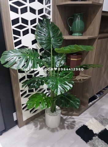 CÂY TRẦU BÀ LÁ XẺ HẰNG DECOR (90CM ,1M2)