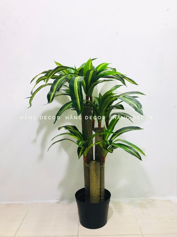 CÂY THIẾT MỘC LAN GIẢ HẰNG DECOR (1M2)