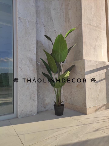 CÂY CHUỐI RẺ QUẠT TRANG TRÍ HẰNG DECOR 1M6(3 nhánh-10 lá)