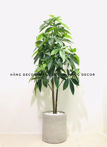 CÂY KIM NGÂN GIẢ TRANG TRÍ NHÀ ĐẸP HẰNG DECOR(1M5)