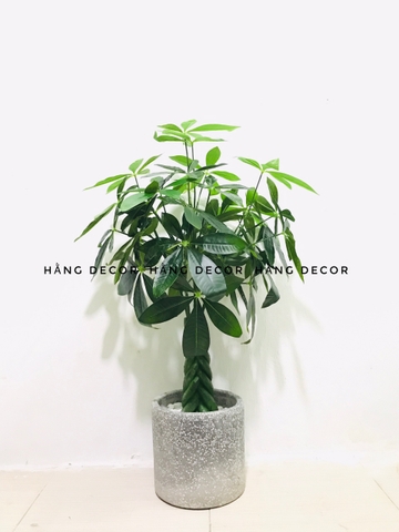 CÂY KIM NGÂN NHỰA TRANG TRÍ NỘI THẤT HẰNG DECOR 80CM