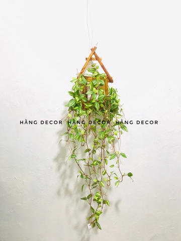 GIỎ CÂY RỦ GIẢ TRANG TRÍ 70CM