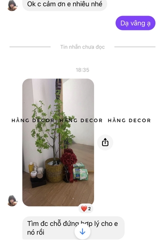 CÂY THẠCH NAM GIẢ  hằng decor (90cm)
