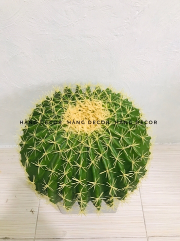 CÂY XƯƠNG RỒNG TRÒN NHỰA GIẢ TRANG TRÍ ( 22CM, 30CM,45CM)