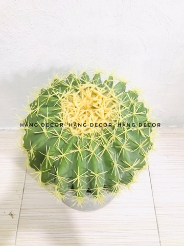 CÂY XƯƠNG RỒNG TRÒN NHỰA GIẢ TRANG TRÍ ( 22CM, 30CM,45CM)